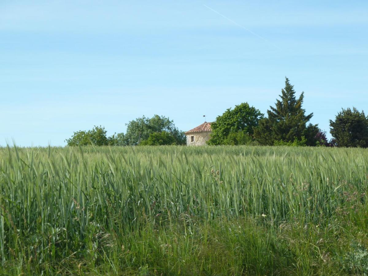 Chateau De Puissentut Bed & Breakfast Homps  Exterior foto